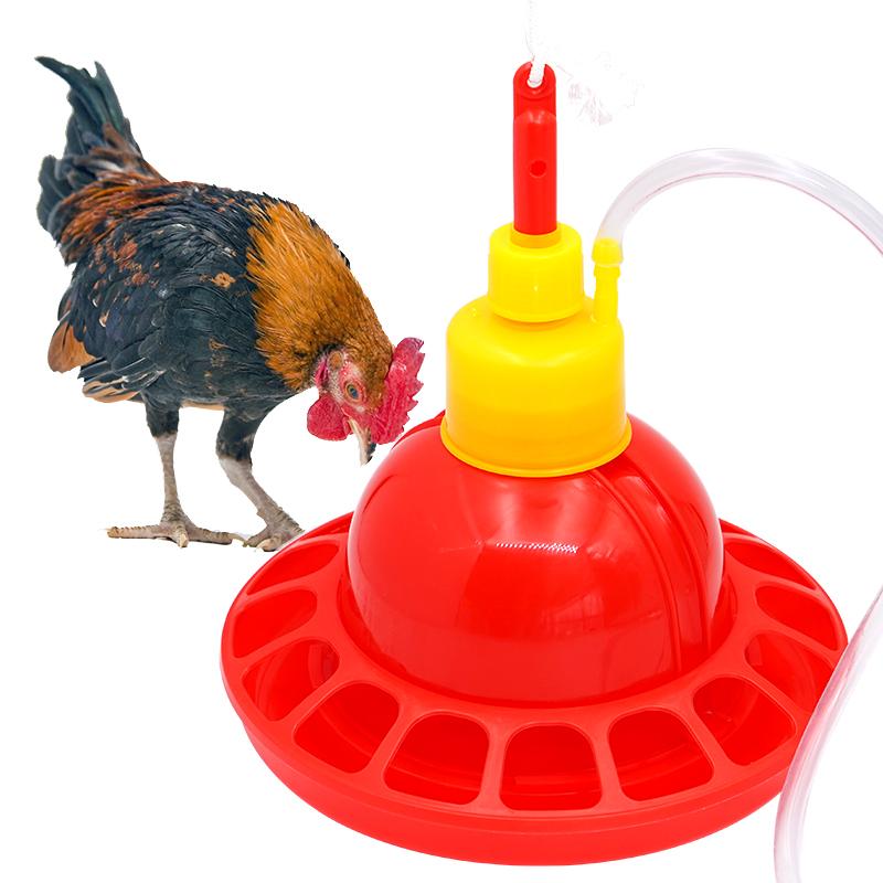1 takım Tavuk Ördek Kaz Broile - Chicken Nipple Drinker incelemesi ve fiyatı